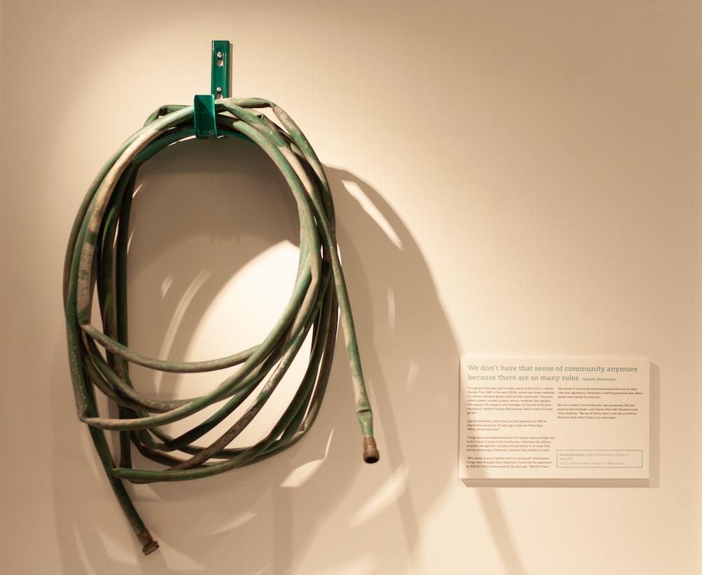 A garden hose displayed on a gallery wall