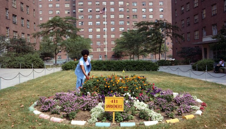 A person tends a flower garden in front of a brick high-rise apartment building, an image from the exhibit Living in the Shade