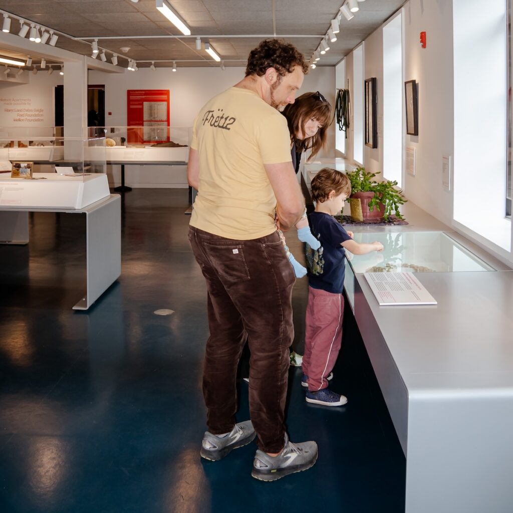 A young child and two adults looking at an exhibit in a museum